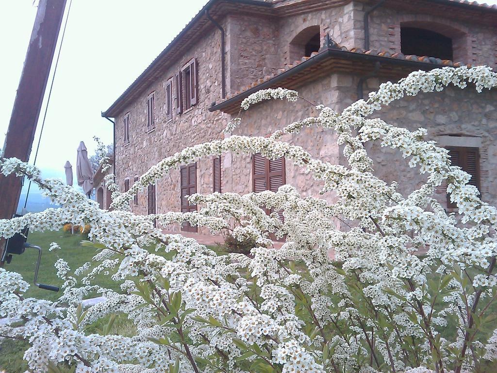 Agriturismo Il Poggiolo Montemerano Εξωτερικό φωτογραφία
