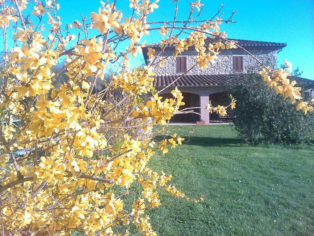 Agriturismo Il Poggiolo Montemerano Εξωτερικό φωτογραφία
